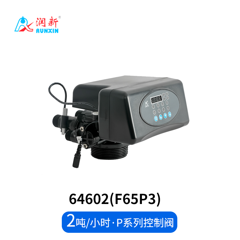 P系列軟化閥64502(F65P1)  64602(F65P3)